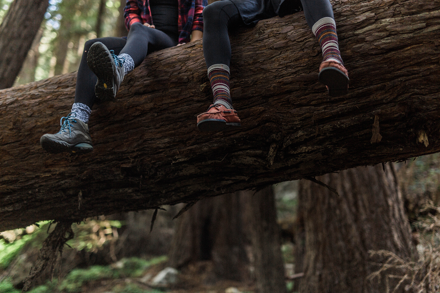 Pfeiffer Big Sur Campground